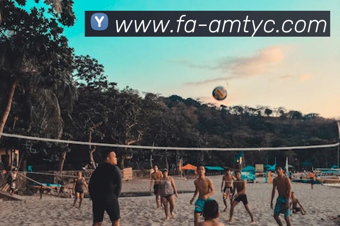 App Interface Preview