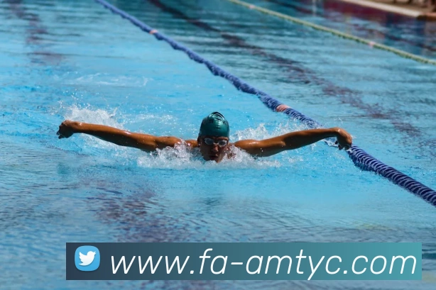 太阳城网站APP 封面图